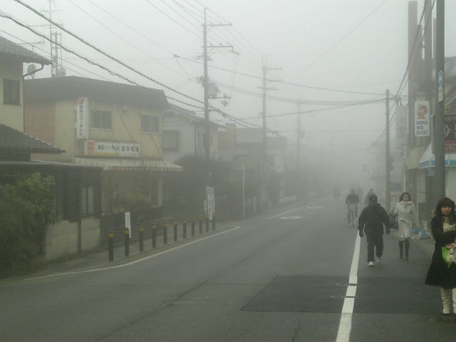 濃霧発生！