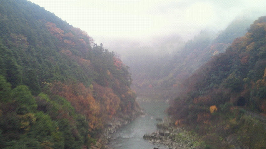 雨に煙る散り紅葉の保津峡